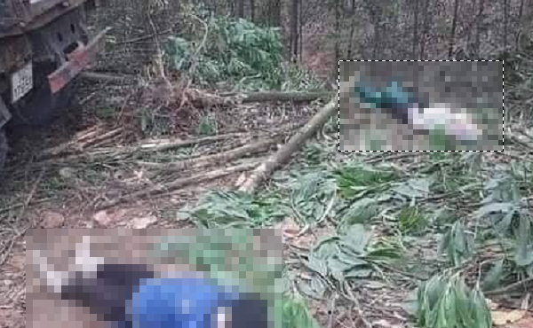 Quảng Ninh: Xe tải chở gỗ cán hai người phụ nữ tử vong trong rừng