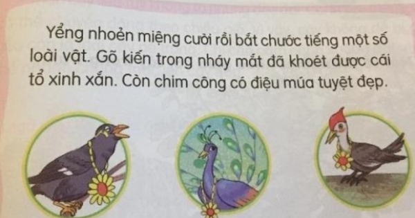 Sách Tiếng Việt lớp 1: Sử dụng ngữ liệu cẩu thả, tùy tiện?