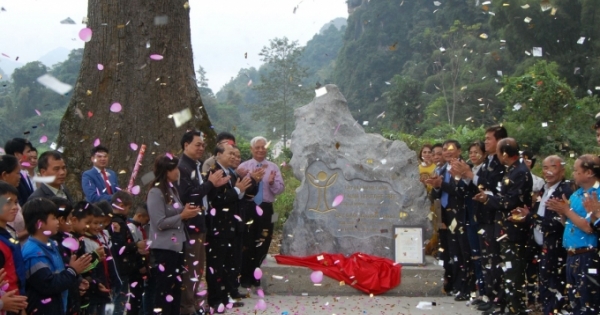 Cao Bằng: Công nhận cây Gạo trên 500 năm là Cây Di sản Việt Nam