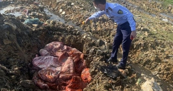Bắt giữ xe chở thịt lợn bốc mùi hôi thối nồng nặc tại Nghệ An