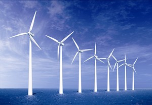 Xem xét kiến nghị liên quan đến Dự án Nhà máy điện gió tỉnh Cà Mau