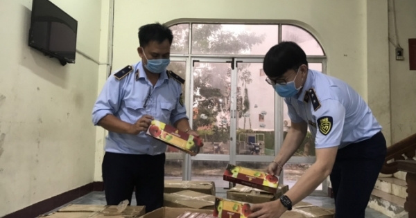 Phú Yên: Tạm giữ hàng nghìn hộp Shisha không rõ nguồn gốc đang trên đường tiêu thụ