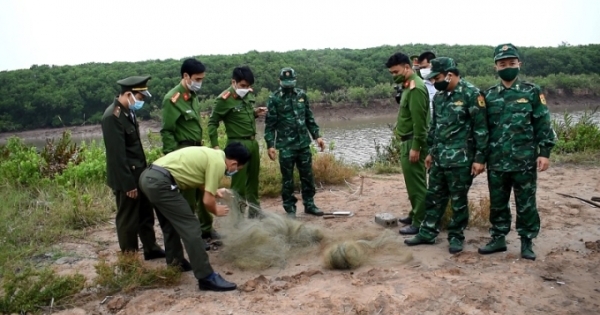 Ninh Bình: Thu giữ hơn 500m lưới bẫy, bắt chim tại khu vực bãi bồi ven biển