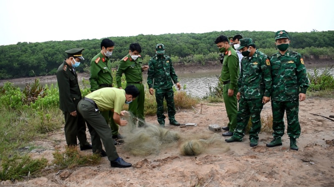 Kiểm tra phát hiện thu giữ hơn 500m lưới bẫy, bắt chim tại khu vực bãi bồi ven biển huyện Kim Sơn