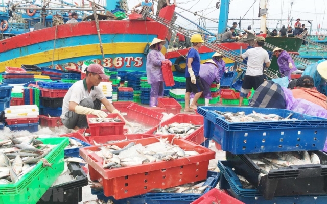 Nghệ An: Thu 4 nghìn tỷ đồng từ đánh bắt thủy sản 10 tháng đầu năm
