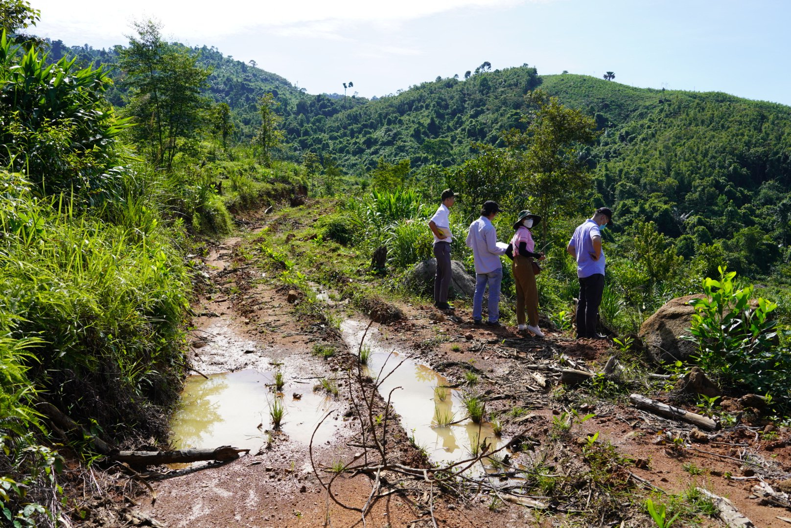 CPV khảo sát khu vực trồng rừng tại khu vực rừng phòng hộ Sông Bồ (8/2022).