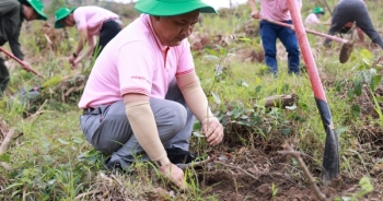 CPV thực hiện “Hành trình vì một Việt Nam xanh” tại Thừa Thiên Huế