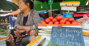Hà Nội: Phấn đấu 100% các chợ truyền thống không sử dụng túi nilon khó phân hủy