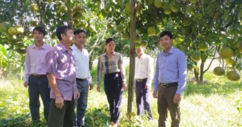 Xã có nghề chế biến đao riềng duy nhất ở huyện Trấn Yên đạt chuẩn nông thôn mới nâng cao