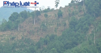 Yên Bái: Nhiều ha rừng bị tàn phá không thương tiếc tại xã Mỏ Vàng