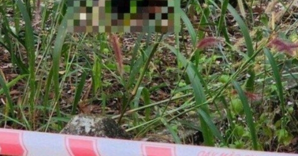 Bình Thuận: Phát hiện một người đàn ông tử vong trong khu rừng tràm
