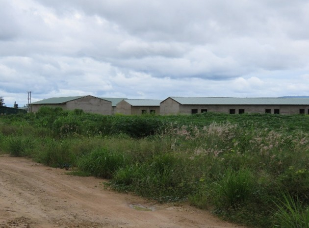 Phần đất tại dự án chăn nuôi mà vợ chồng ông Tuấn đã đặt cọc.