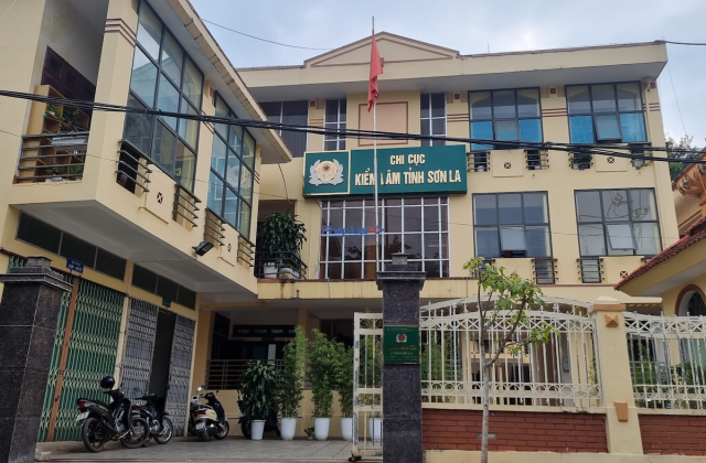 Sơn La: Hạt kiểm lâm huyện Mộc Châu buộc người vi phạm nộp tiền phạt tại trụ sở