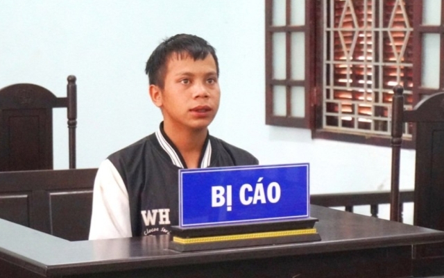 Kon Tum: Lĩnh án tù vì nhổ trộm 8 cây sâm Ngọc Linh
