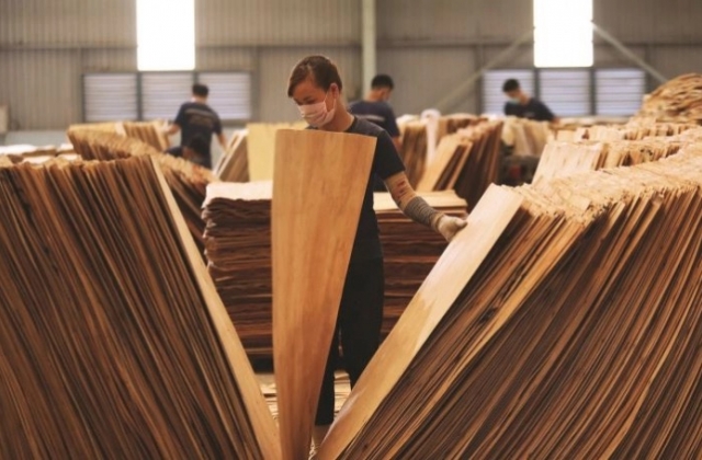 Một nhà máy chế biến gỗ ở Yên Thế chưa làm thủ tục về môi trường