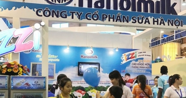Báo lãi lớn, nhưng Hanoimilk (HNM) vẫn nợ gần 20 tỷ đồng BHXH