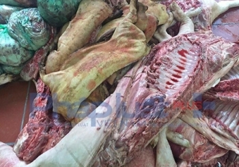 “Bắt tận tay” 1 tấn thịt lợn đang phân hủy “tuồn” ra thị trường