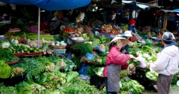 Tết Nguyên Đán: Sẽ không lo thiếu nguồn cung rau, thịt