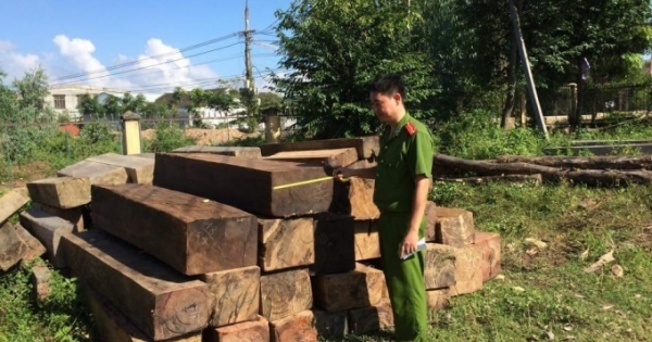 Quảng Nam: Gặp Công an, lâm tặc “bỏ của chạy lấy người”