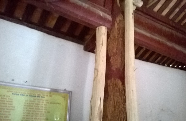 Nhiều cột gỗ