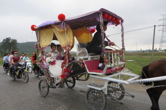 Lễ rước d&acirc;u bằng xe ngựa k&eacute;o tại huyện Quỳnh Lưu, Nghệ An (ảnh CTV).