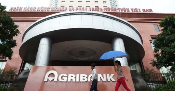 Hôm nay xét xử đại án tham nhũng tại Agribank chi nhánh Nam Hà Nội