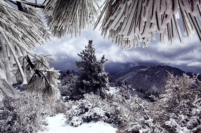 Một v&ugrave;ng tuyết trắng x&oacute;a ở Idyllwild, California, Mỹ. Ảnh: Lucia Griggi.