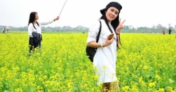 Chùm ảnh: Giới trẻ phát cuồng với thiên đường hoa cải nở rộ ở Thái Bình