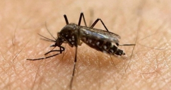 Ghi nhận 94 ca nhiễm Virus Zika tại TP HCM