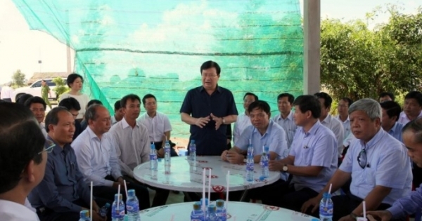 Phó Thủ tướng Trịnh Đình Dũng làm việc về các giải pháp thúc đẩy sản xuất tôm