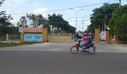 Đắk Lắk: 50 giáo viên trường lái xe dùng bằng giả