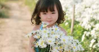 Chùm ảnh: Em bé đẹp như thiên thần bên những cánh hoa cúc họa mi cuối mùa