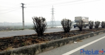 Quốc lộ 18: Nhiều km cây xanh ở dải phân cách bị cháy trụi