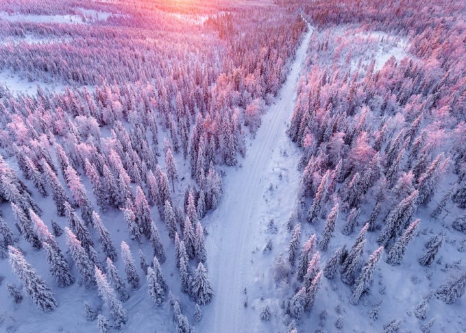 Lapland trắng x&oacute;a khi chụp từ tr&ecirc;n cao. (Ảnh:&nbsp;Bored Panda)