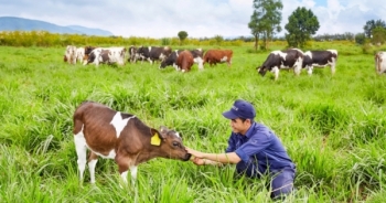 Vinamilk ra mắt dòng sữa tươi 100% organic sản xuất tại Việt Nam