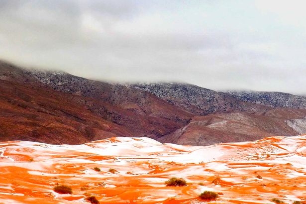 Hiện tại, nhiệt độ ở sa mạc Sahara đ&atilde; vượt qua ngưỡng kỷ lục 47 độ C. Tuy nhi&ecirc;n c&aacute;c nh&agrave; khoa học dự b&aacute;o m&agrave;u xanh sẽ bao phủ nơi đ&acirc;y trong khoảng 15.000 năm nữa.