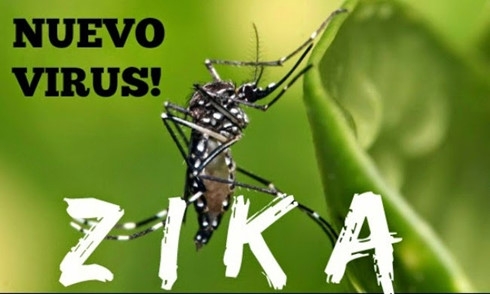 Đầu năm 2016, virus Zika từ khu vực Mỹ La tinh v&agrave; v&ugrave;ng Caribbean đ&atilde; b&ugrave;ng ph&aacute;t tại nhiều quốc gia v&agrave; ch&acirc;u lục tr&ecirc;n thế giới.&nbsp;Tr&ecirc;n thực tế, virus Zika đ&atilde; xuất hiện ở Uganda năm 1947.  Tuy nhi&ecirc;n, mức độ b&ugrave;ng ph&aacute;t hiện nay được xem l&agrave; chưa từng c&oacute;. Sự l&acirc;y lan nhanh ch&oacute;ng của Virus ZiKa đang g&acirc;y lo ngại cho to&agrave;n cầu.&nbsp;(Ảnh: Havanatimes)&nbsp;