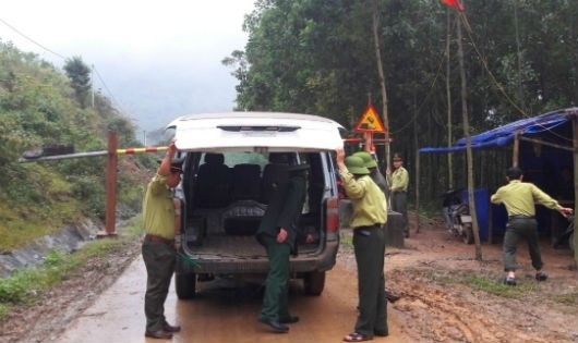 Rừng Hóa Sơn bị “lâm tặc” tàn phá: Cách chức giám đốc lâm trường, các trạm trưởng