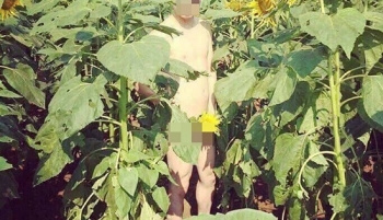 Nam thanh niên chụp ảnh khỏa thân phản cảm ở cánh đồng hoa hướng dương