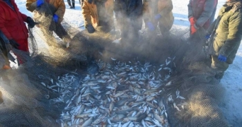 Khách du lịch hào hứng câu cá trên mặt hồ đóng băng ở Mông Cổ