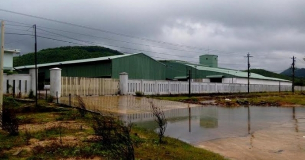 Bình Định: Dân kêu trời vì nhà máy sản xuất viên nén gây ô nhiễm