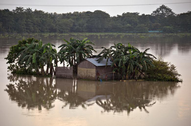 Người đ&agrave;n &ocirc;ng quăng lưới bắt c&aacute; khi nước lũ d&acirc;ng ngập nh&agrave; ở bang Assam, Ấn Độ ng&agrave;y 17/8