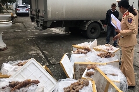 Thanh Hoá: Bắt giữ 280kg thịt động vật "bốc mùi" không có giấy tờ