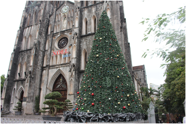 C&acirc;y th&ocirc;ng Noel, tại Nh&agrave; Thờ Lớn H&agrave; Nội.