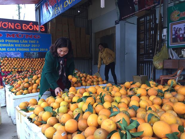 Cửa h&agrave;ng cam Hương Đồng tại thị trấn Cao Phong