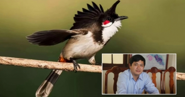 Vụ trộm chim nổi tiếng đất Quảng và quan lộ thần tốc của ông Lê Phước Hoài Bảo