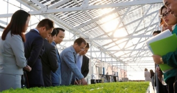 Bắt tay đối tác Nhật, FLC dự kiến đầu tư 1,5 tỷ USD vào nông nghiệp công nghệ cao Việt Nam