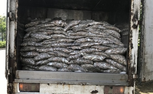 Bắt xe tải vận chuyển 3,5 tấn cá thối đang trên đường đi tiêu thụ