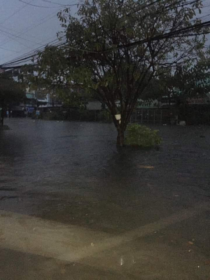 Đ&agrave; Nẵng: Mưa lớn suốt đ&ecirc;m, nhiều tuyến phố trung t&acirc;m ngập s&acirc;u dưới nước