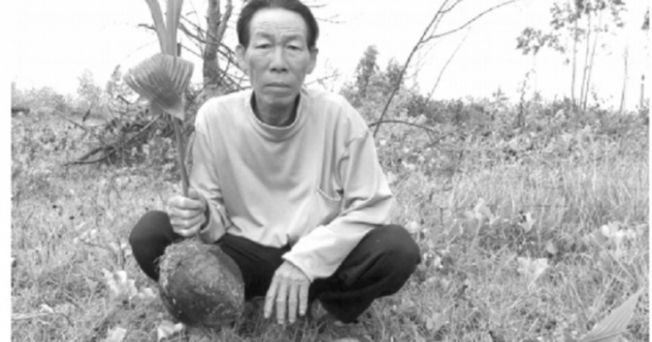 Quảng Bình: Nghi án phá tài sản, hành hung người để tranh giành đất